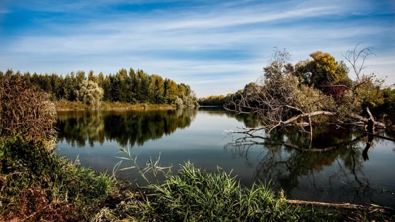 Kalendarz aktywności sezonowych: kiedy planować spływy, rower i narty