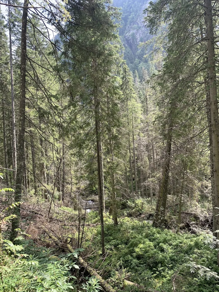 Rowerem nad morzem